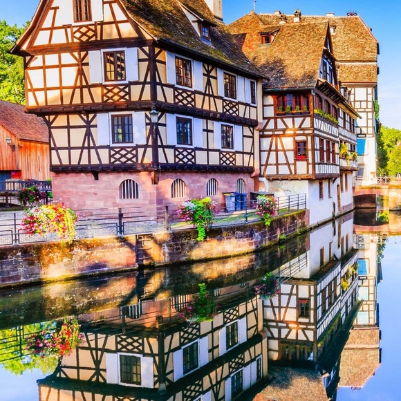 Meet your Posher, Lily - Picture 1 of 1